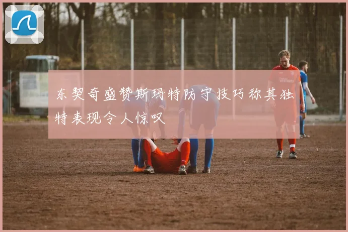 东契奇盛赞斯玛特防守技巧称其独特表现令人惊叹